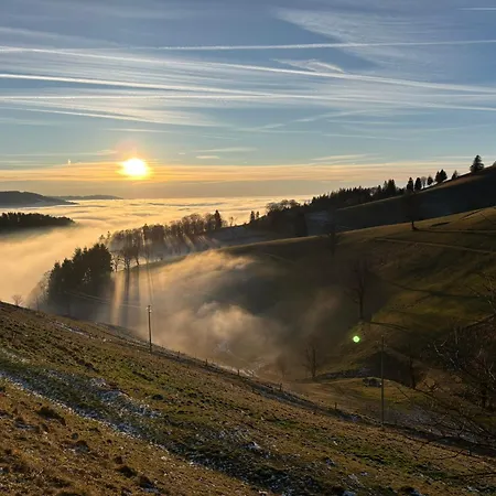 Neu Felsenhof Muenstertal