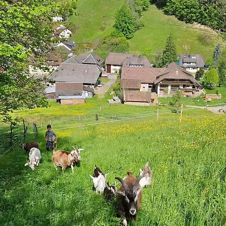Neu Felsenhof